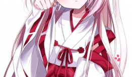 淫娘动漫,揭秘成人动画的诱惑与争议